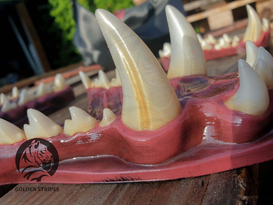 3D Painted Teeth