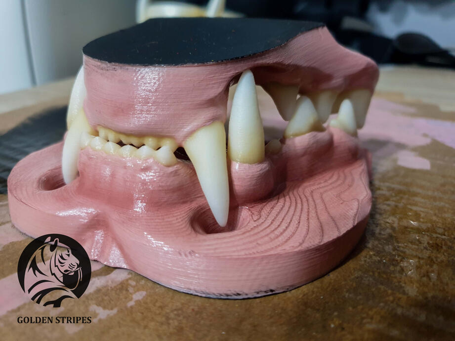 3D Painted Teeth